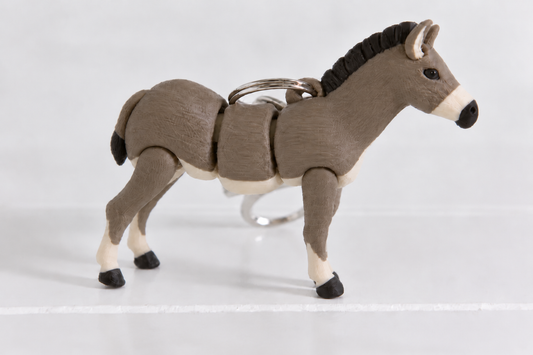 Donkey / Burro