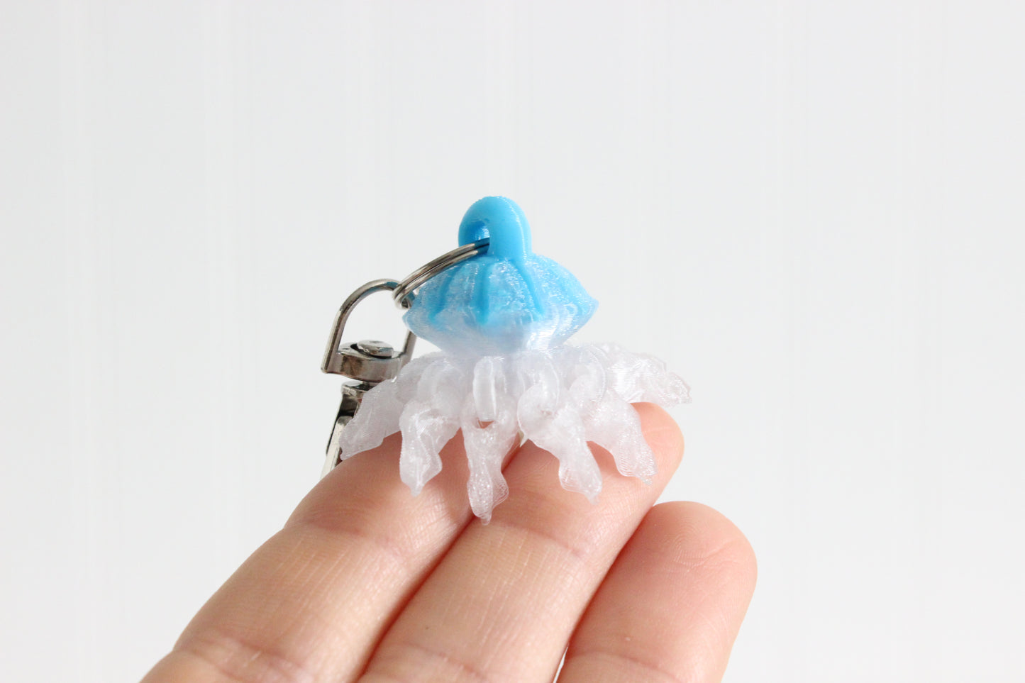 Jellyfish