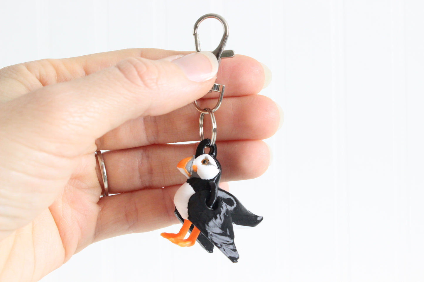 Puffin