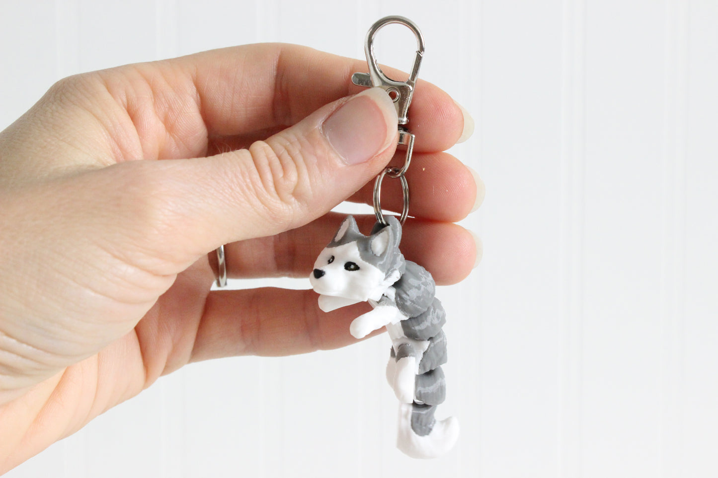 Dog- Husky