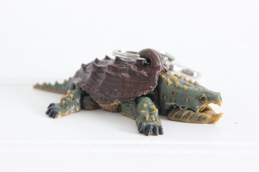 Turtle- Alligator Snapping