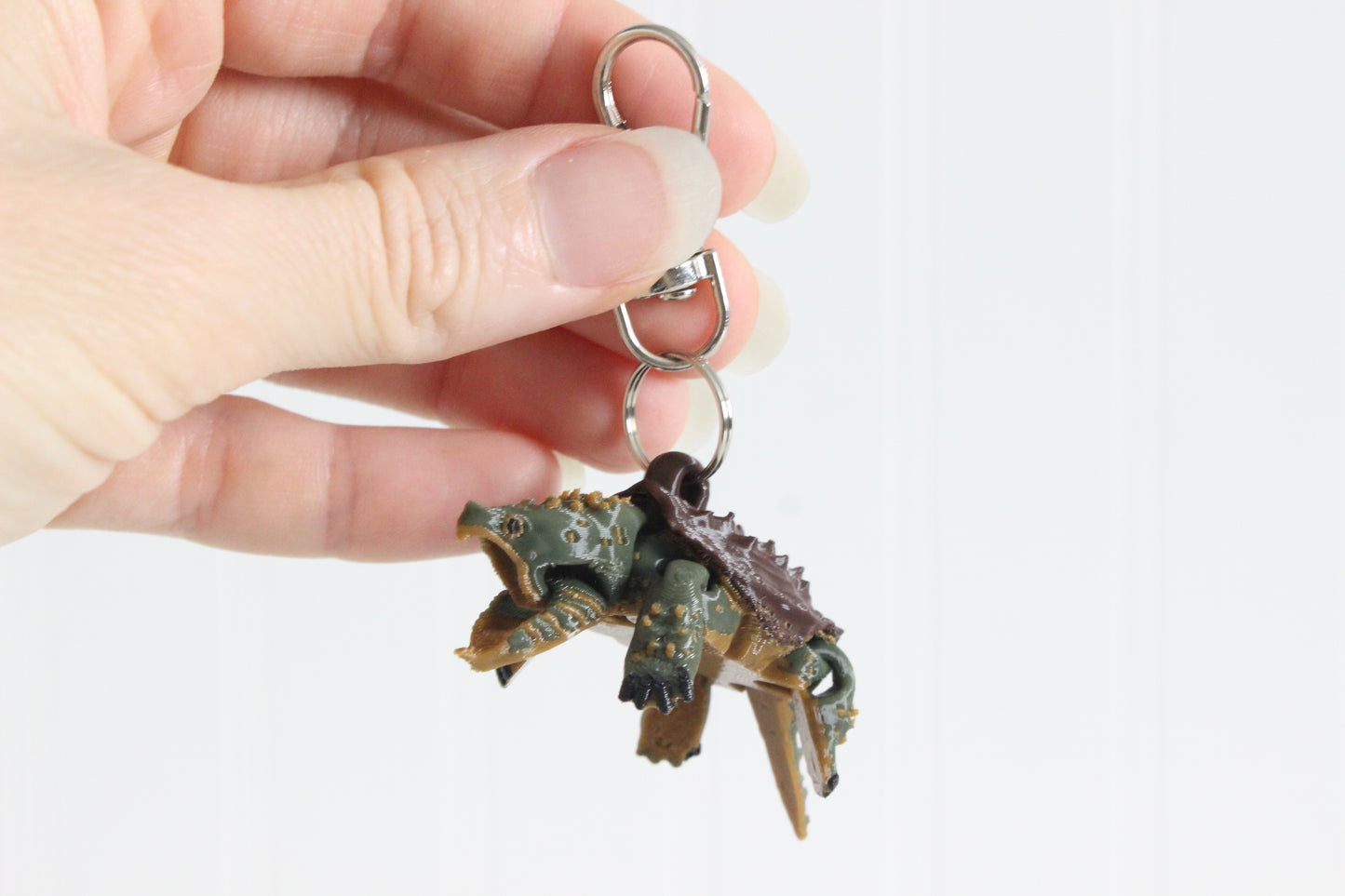 Turtle- Alligator Snapping