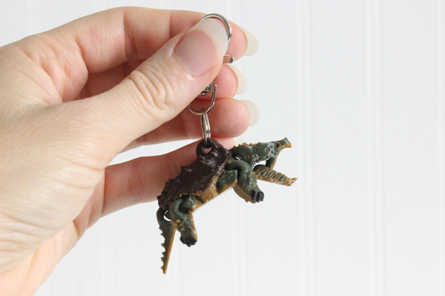 Turtle- Alligator Snapping