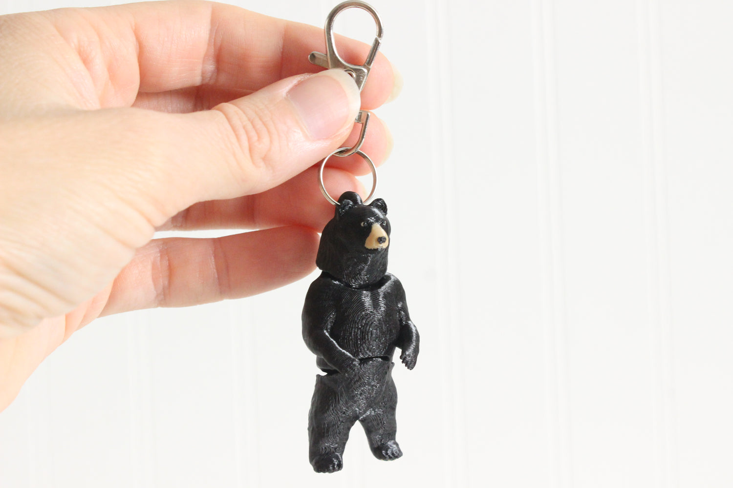 Standing Black bear on a white background