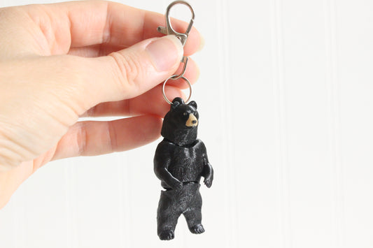 Standing Black bear on a white background
