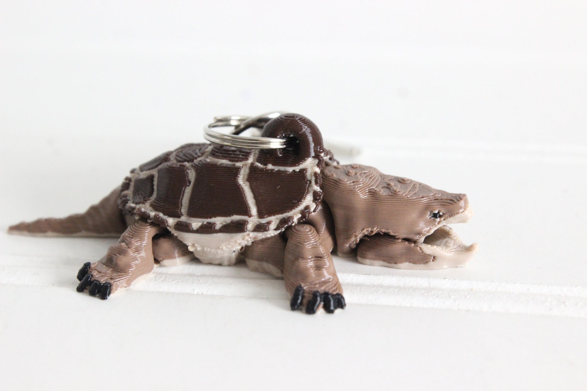 Common Snapping turtle keychain
